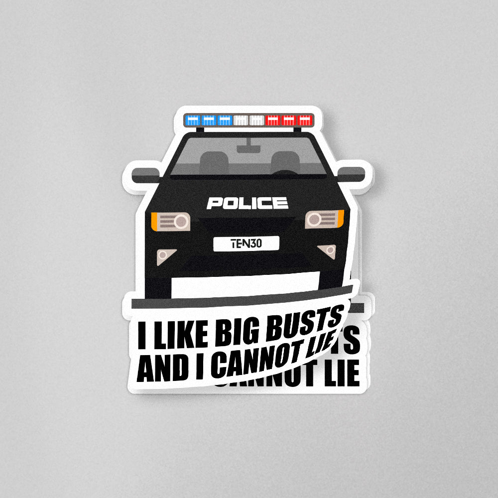 [I Like Big Busts]